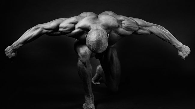 Nandrolone Phenylpropionate Results